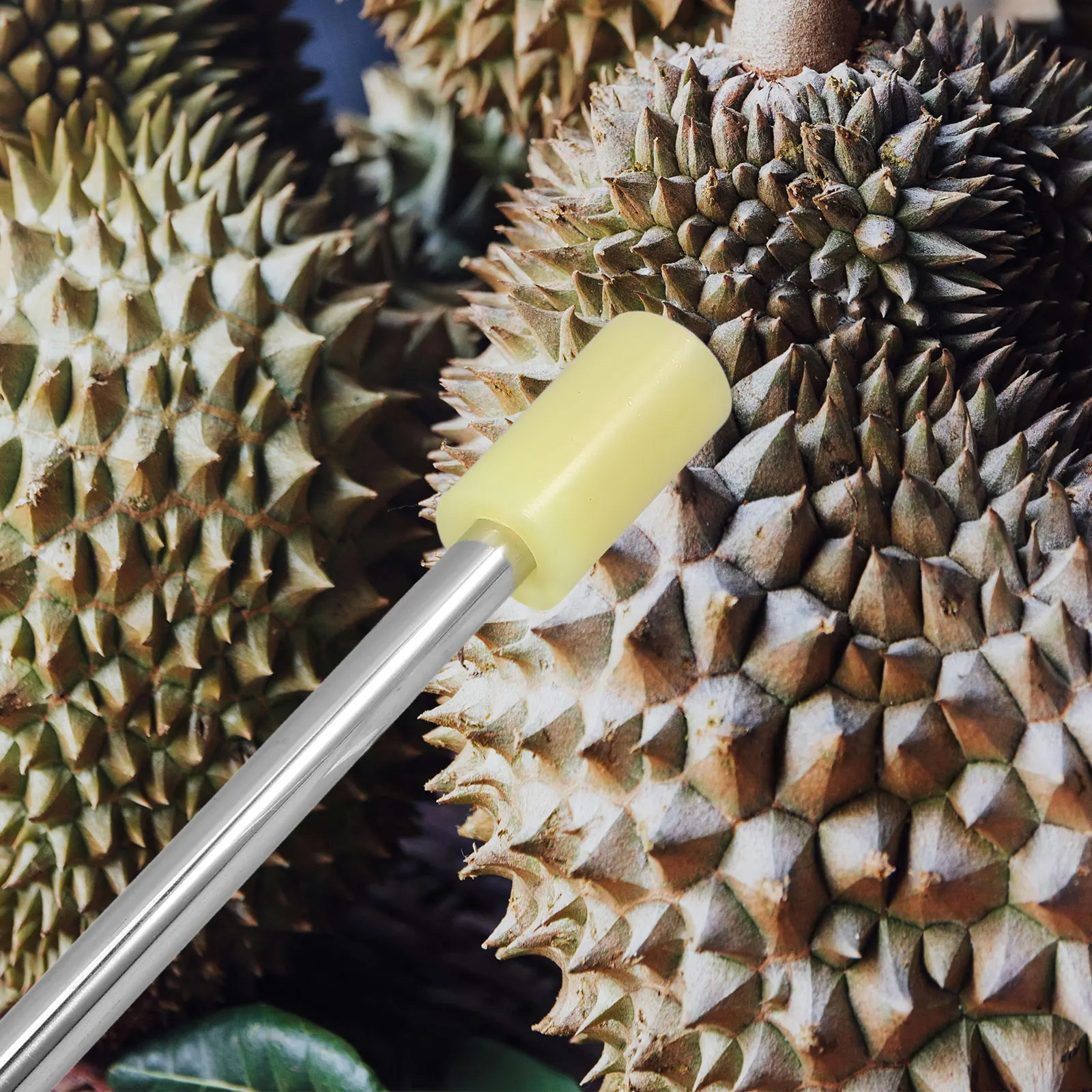

Portable Durian Testing Stick Ripeness Knocking Rod for Fruit Shop Supermarket Stainless Steel Durability Tool