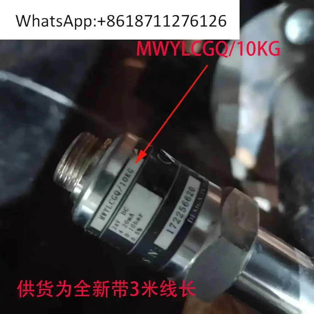 

Датчик давления для водяного насоса MWYLCGQ/10KG с головкой из нержавеющей стали