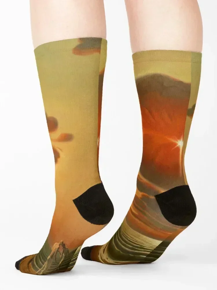 Dali Art, Salvador Dali Paints, Surrealism Art Socks christmas stocking warm winter happy floor Men Socks Luxury Brand Women's