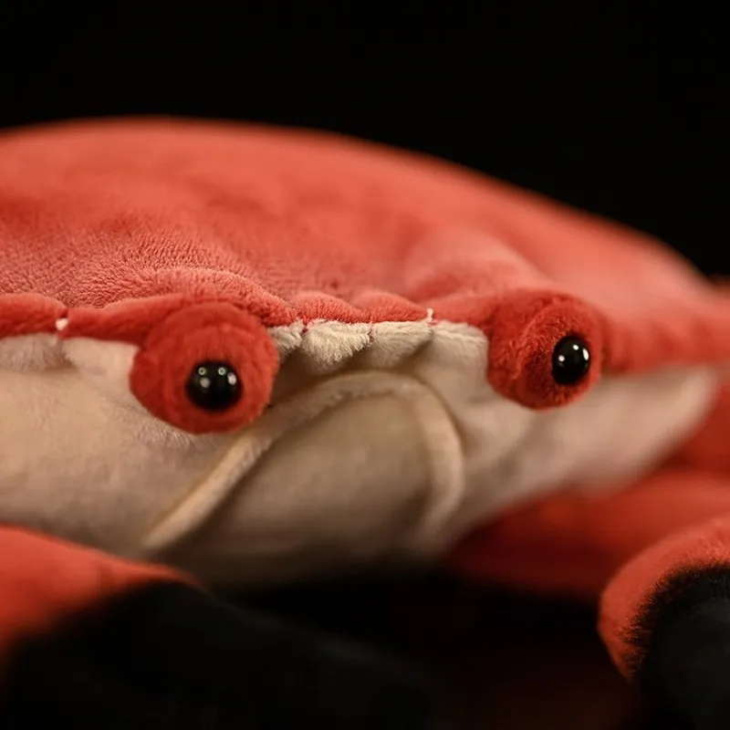 ZWY Original Realistic Bread Crab Plush Toy Edible Crab Stuffed Animal with Lifelike Unique Marine Creature Collectible Gift