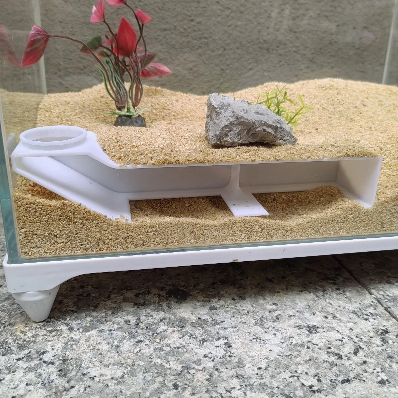 Aquarium glass hidden underground viewing tunnel underwater amusement full of fun