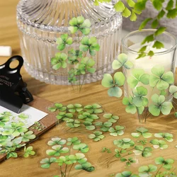 20pcs/pack Plants Flowers Leaf PET Stickers DIY Collage Junk Journal Planner Decor Sticker Scrapbooking supplies