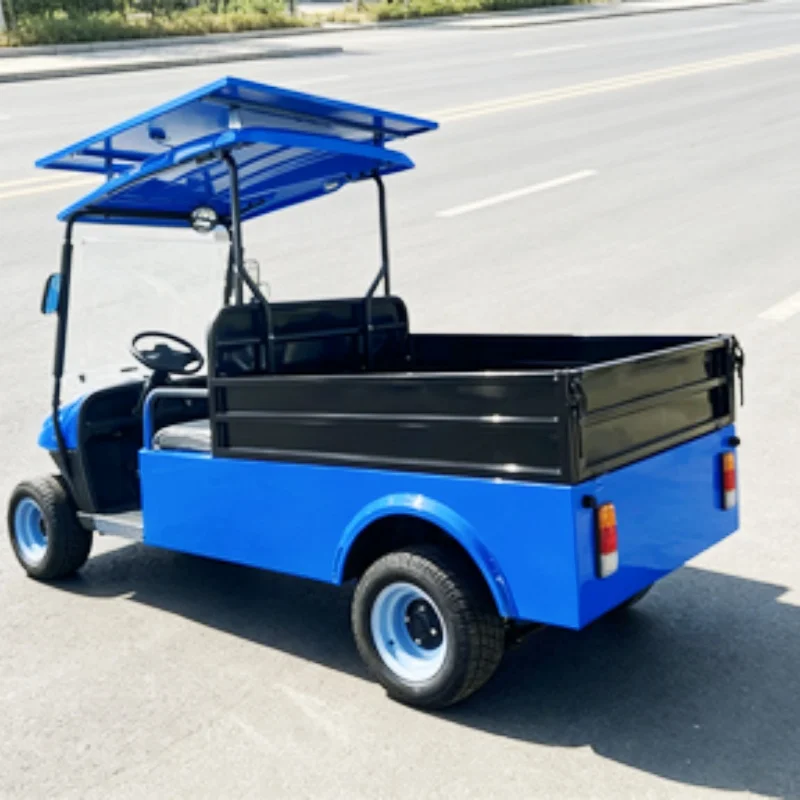 Factory 2 Seater 60V 5000W Tour Club Car Electric Golf Cart Cargo Truck Cart With Rear Cargo Box Off-Road Tires Solar Panels