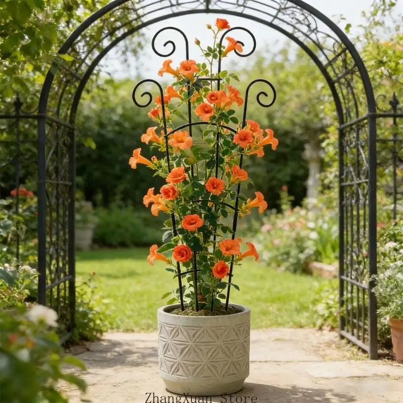 Metal Indoor Plant Trellis for Climbing Plant Trellis Small Garden Decoration 3XUF