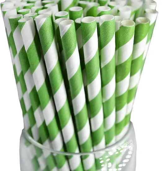 100pcs Disposable Paper Straws Bulk Party Birthday Christmas Decoration Supplies Cocktails Coffee Smoothies MilkShake Drinkware