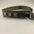RG