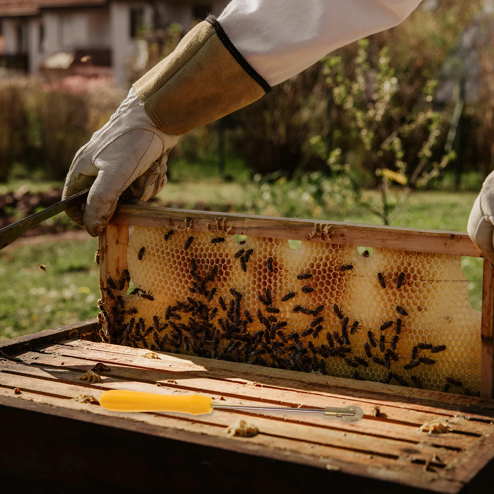 

Beekeeping Wire Embedder Plastic Handle Roller Durable Safe Beehive Imbedding Tool Practical Feeding Tool Beehive Wire Embedder