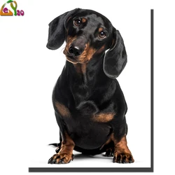 5d Diamond Embroidery Dachshund Dogs Animals Diamond Painting Full Square Round Rhinestones Painting Diamond Mosaic puzzle