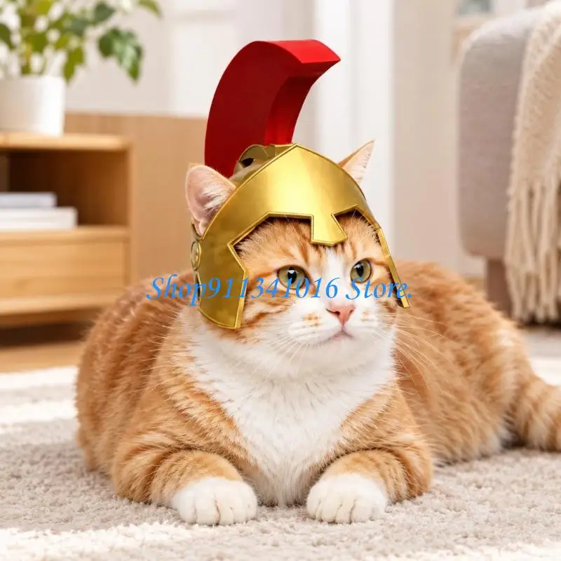 Knight Cats Photo Helmet with Visible Face and Open Ear Openings for Party