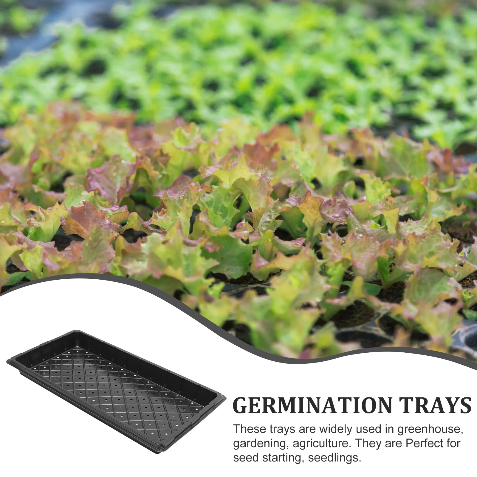 

5 Pcs Germination Tray Strong Smooth Seed Starting Plastic Trays Holes for Greenhouse Gardening Agriculture Plants