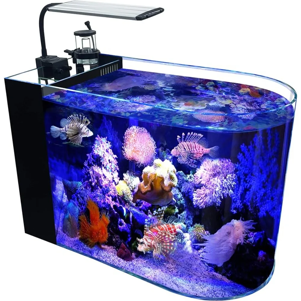 

12 Gallon Saltwater Aquarium Full Bullnose Shape Low Iron Aquarium Ultra Clear Glass Marine Fish Tank Reef Tank With Lid Aquatic