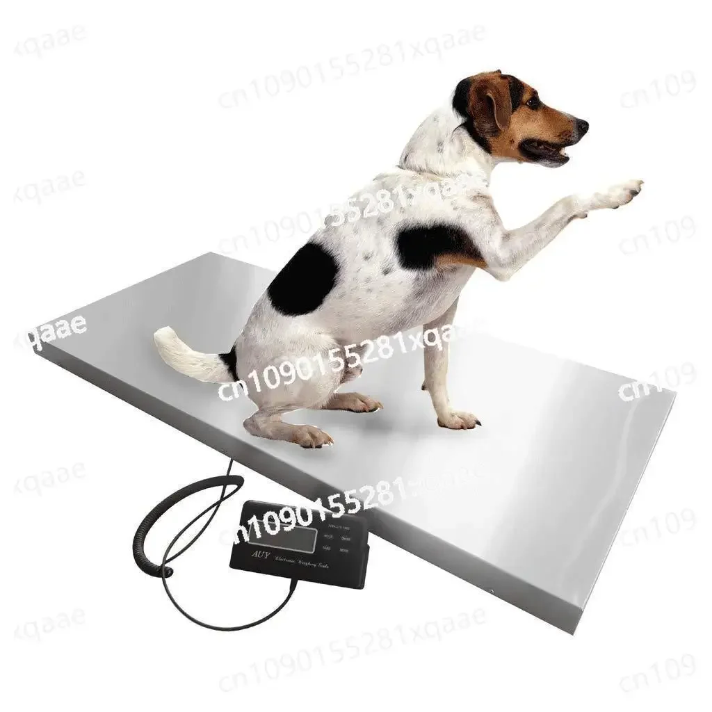 Large Countertop Postal Scale Stainless Steel Commercial Electronic Scale Industrial Scale