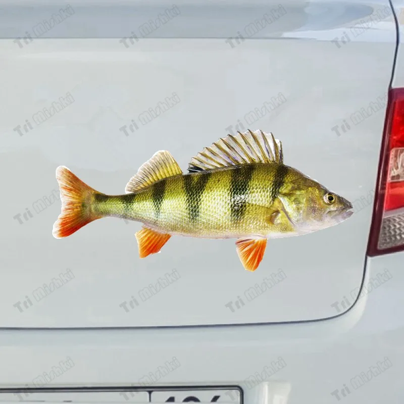 Tri mishki W1115 3D Fish River Perch Car Sticker PVC Decals Motorcycle Accessories sticker on Car Truck Bumper Laptop Fridge