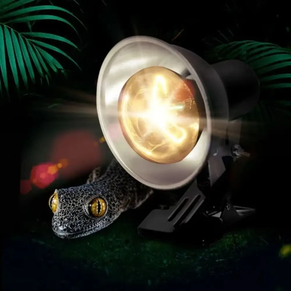 

Clip-on Lamp Holder Turtle Basking Lamp Adjustable Heating Vivarium Reptile Heat Lamp Thermostat 75W Pet Heat Bulb