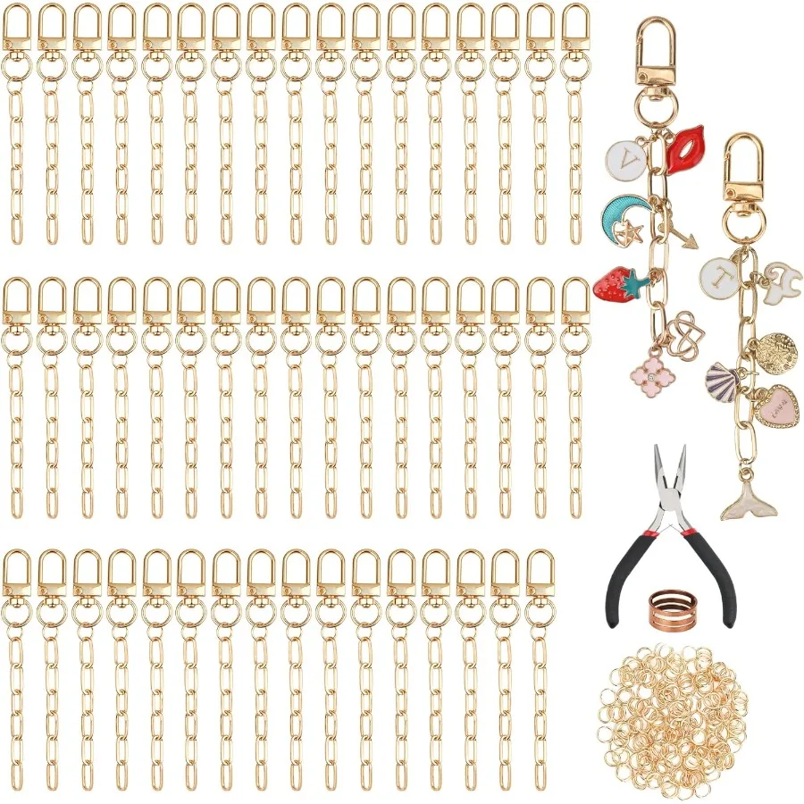 

252Pcs Keychain Making Kit 50 Set Keychain Clips DIY Bag Charm Kit with Extender Chain Bulk 200 Jump Ring for Jewelry Bags Acce