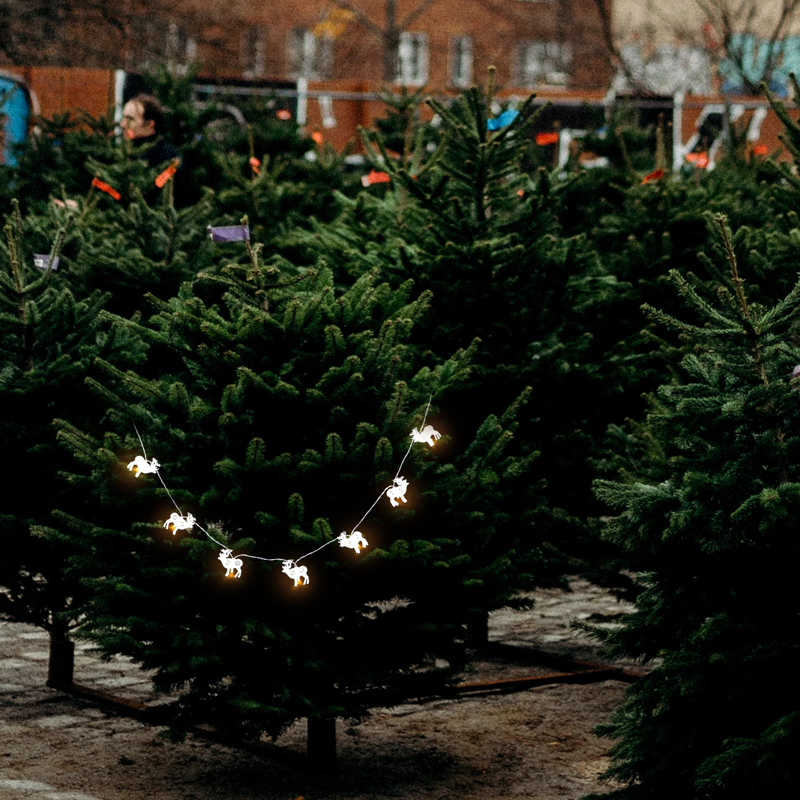 1 قطعة إِلْكَة عيد الميلاد LED سلسلة ضوء عيد الميلاد ديكور مهرجان مصباح المشهد معلقة ضوء عيد الميلاد نمط مصباح عيد الميلاد مصابيح تعليق للزينة #1