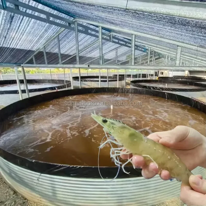 Recirculating Biofloc Aquaculture Tarpaulin Fish Pond Tanks Above Ground Equipment for Aquaculture Fish Farming System