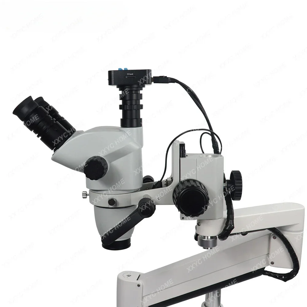 Dental Microscope With Camera Continuous Zoom Dental Root Canal Microscope With LED Light Clip On Chair Table Dental Equipment