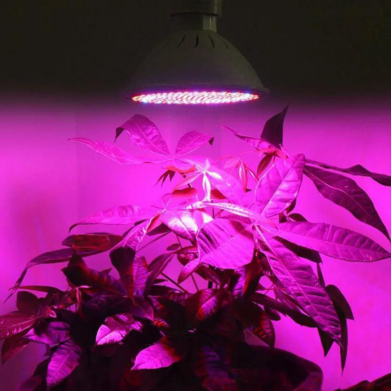 Le Spectre complet A MENÉ La Lumière Hydroponique Éclairage 12W E27 LED 166 LED Rouge et 34 Leds Bleu serre lampes 110V/220V