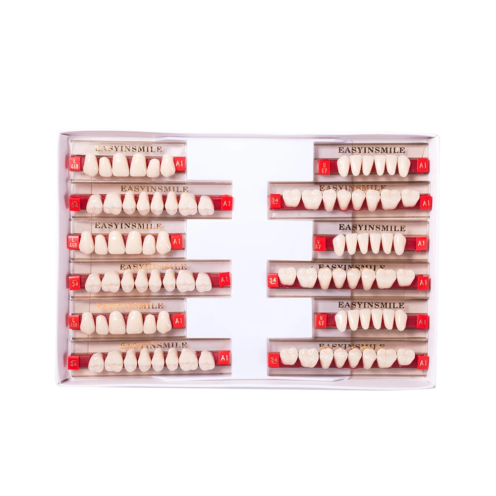 16/12 Sets/ Box Dental Denture Teeth Upper Anterior Lower Posterior Teeth Dentier Synthetic Polymer Teeth Dental Education Model