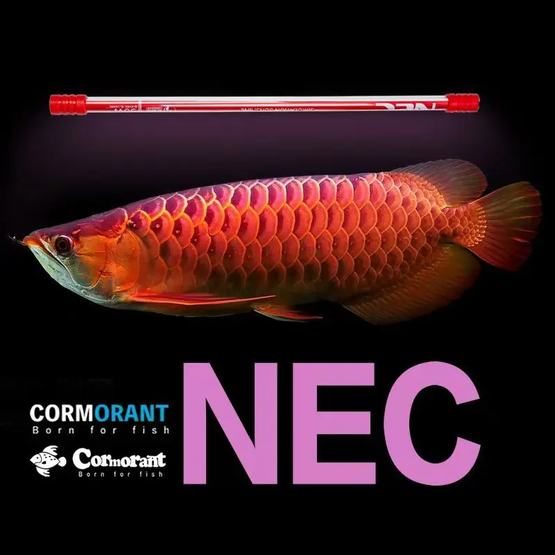 

Submersible NEC Aquarium Light,Glass Fish Tank Light For Arowana,Aquarium T8 Brightening Color Lamp Tube,15000K,6700K,98cm-158cm