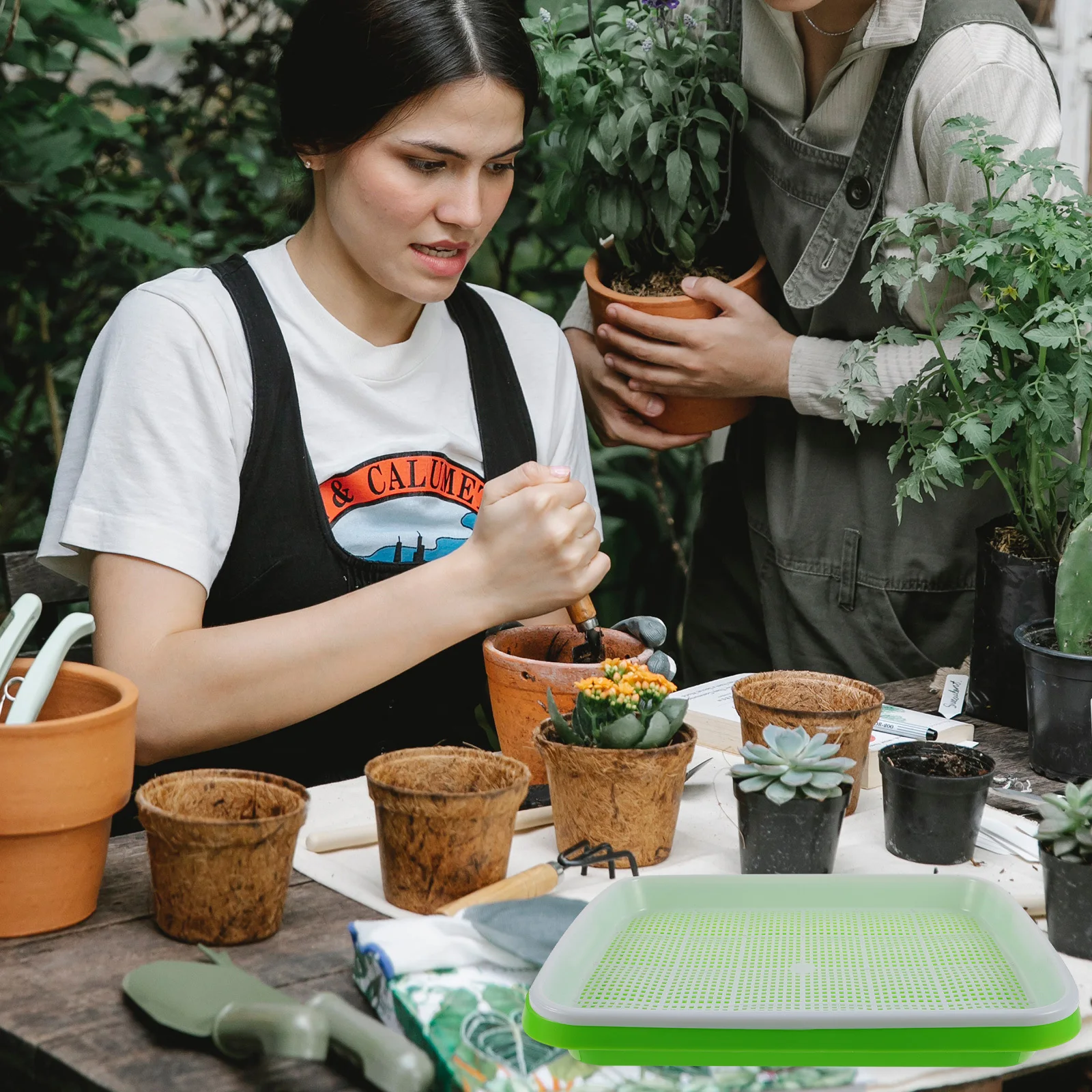 

1 set 1 Set Of Hydroponic Nursery Tray Soilless Culture Tray For Growing Vegetables Mung Bean Soybean Sprouting Basin Plant