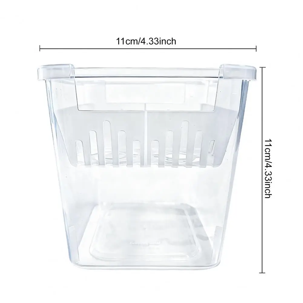 Hydroponic Planter Tulip Bulb Planter 4-cell Hydroponic Flower Pot with Reservoir Indoor Gardening Pot Drainage System for Home