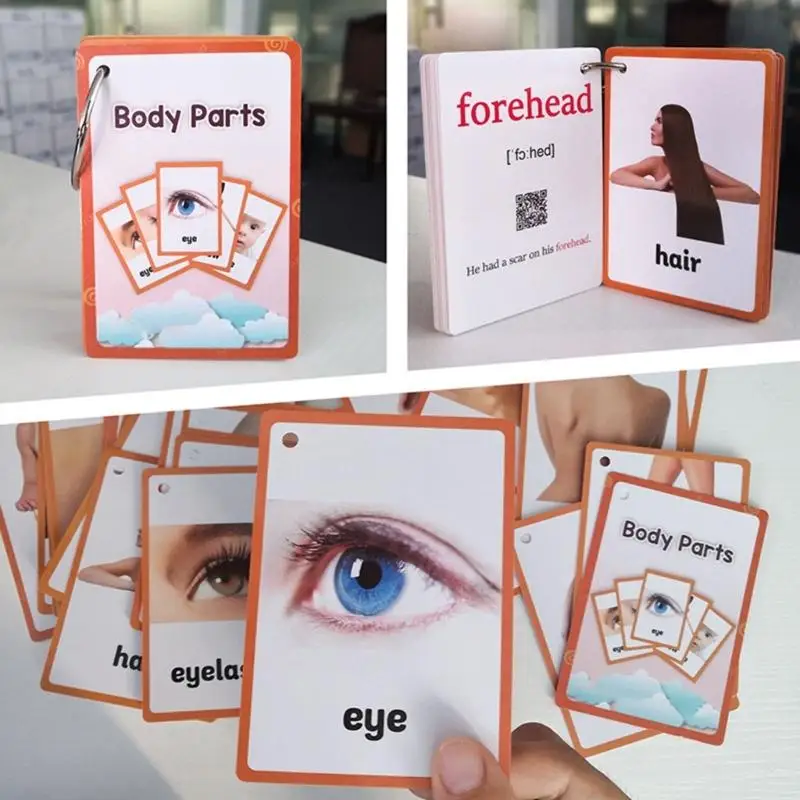 31BA English Body Parts Flash Card Set with Photo and Word Learning, 35 Sheets