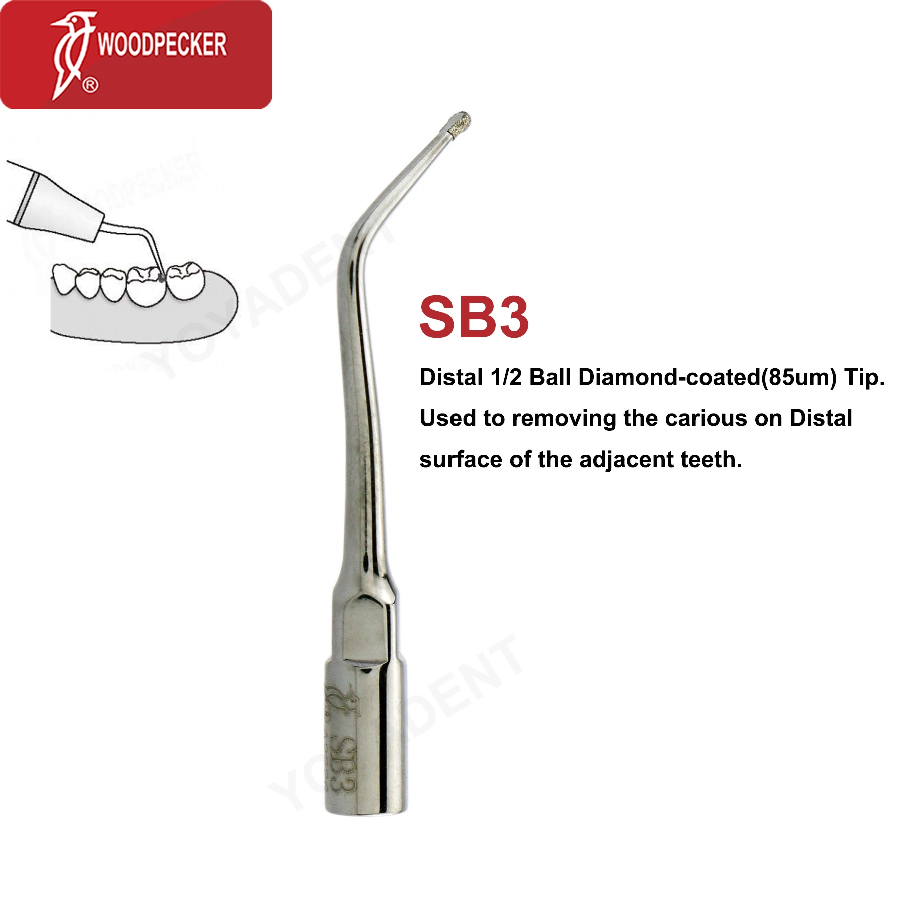 Original Woodpecker DTE Dental Scaler Tips Ultrasonic Scaling Tip Cavity Preparation Fit EMS SATELEC NSK Scaler Handpiece SB/SBD