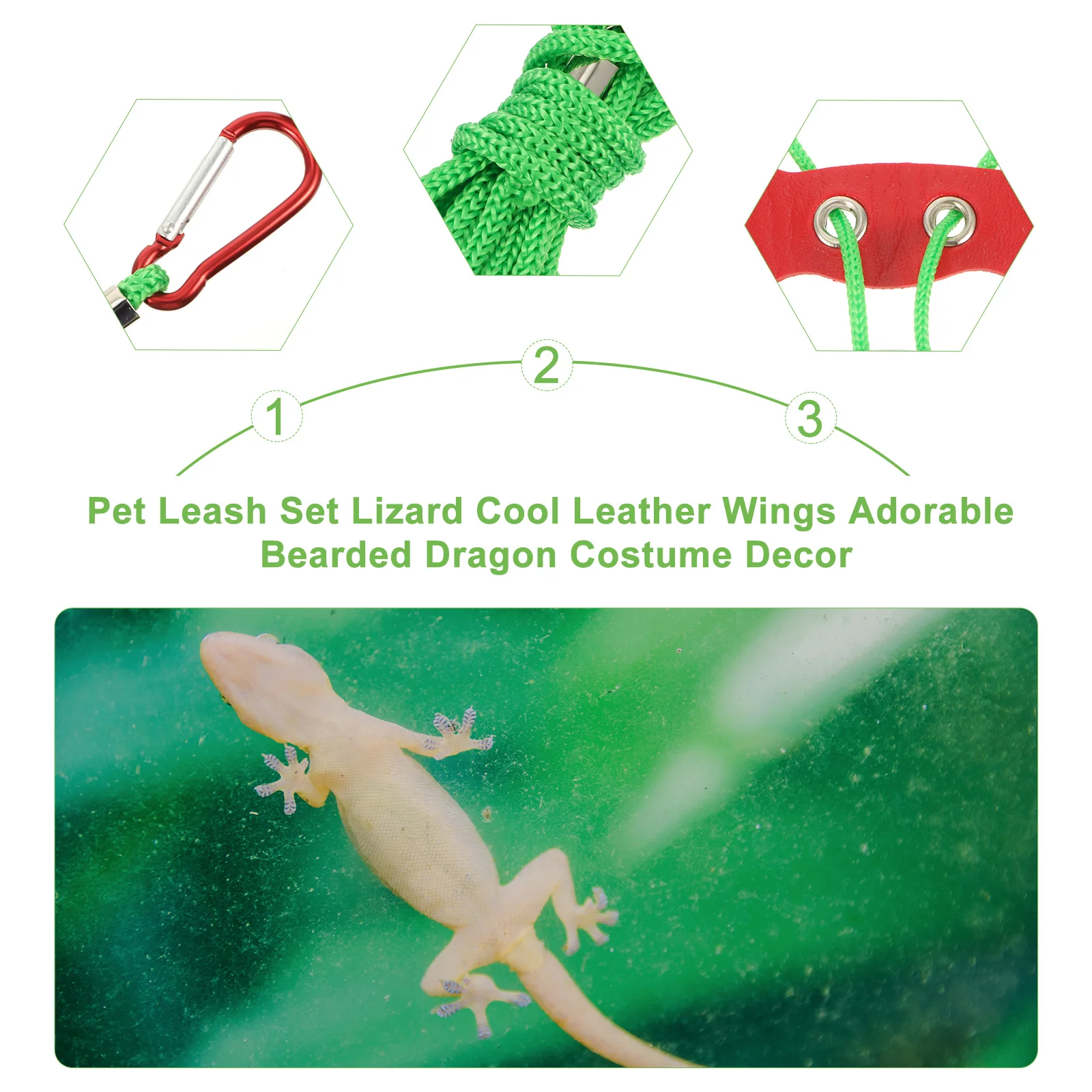 

Lizard Harness Set With Bat Wings Outdoor Wearable Vest Costume Durable Accessory For Small Pets Crawling Exercise
