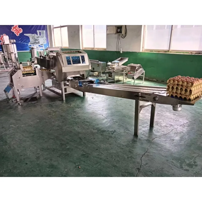 2025 مصنع بيع آلة تعبئة مزرعة البيض آلة صينية البيض الأوتوماتيكية بالكامل آلة تعبئة مزرعة البيض