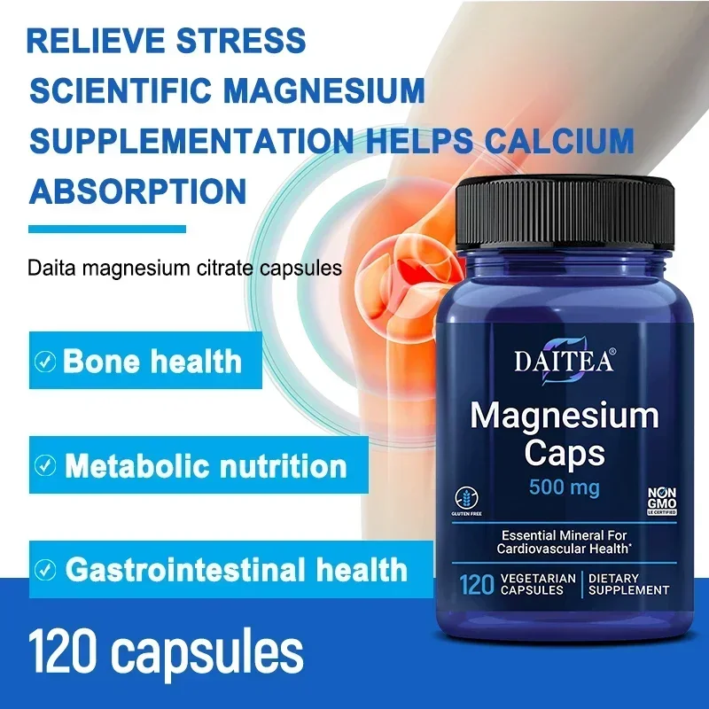 Daitea Magnesium 500 Mg, Magnesium Supplement for Muscle, Heart, Bone and Nerve Support, Non-GMO, 120 Capsules