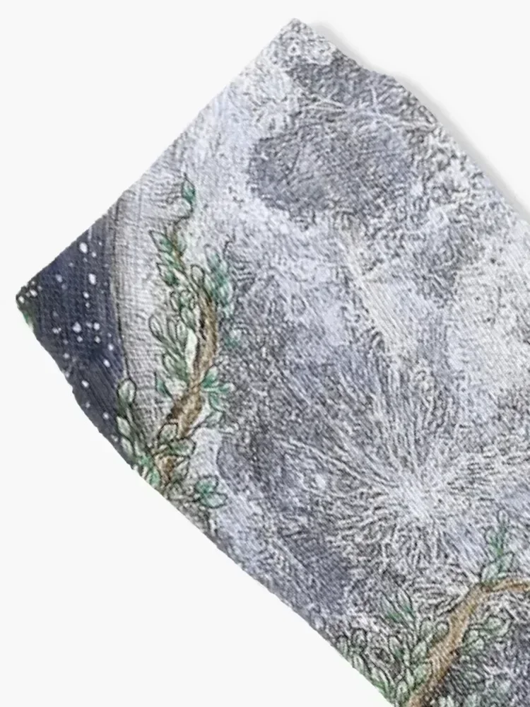 منتصف الليل في الحديقة II جوارب جوارب رجل جوارب رياضية الأزهار الجوارب للرجال والنساء