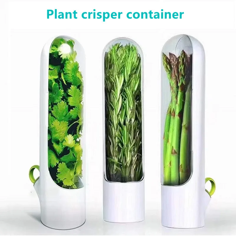 

Vanilla Fresh-Keeping Cup Box Keep Green Vegetables Fresh Longer Herb Keeper Herb Storage Container Storage Utensil Kitchen Home