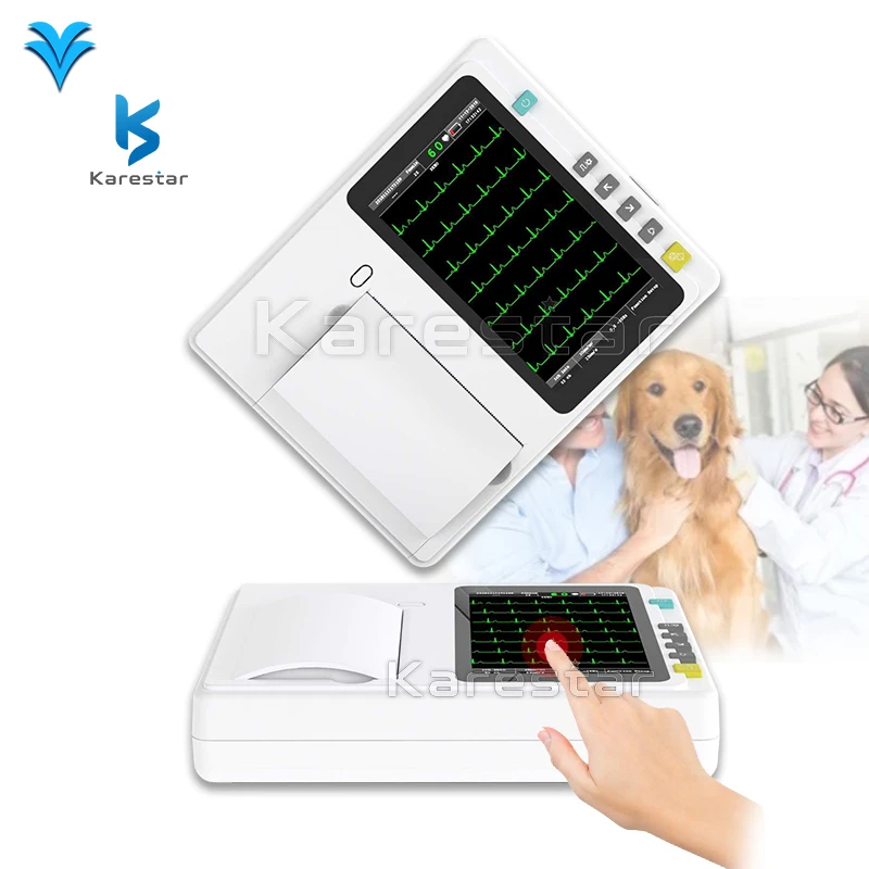 

Pet Hospital Electrocardiograph Monitor Portable ECG Machine 3 Channel 12 Leads Portable ECG Machine
