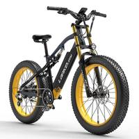 Lankeleisi RV700 1000W 26\