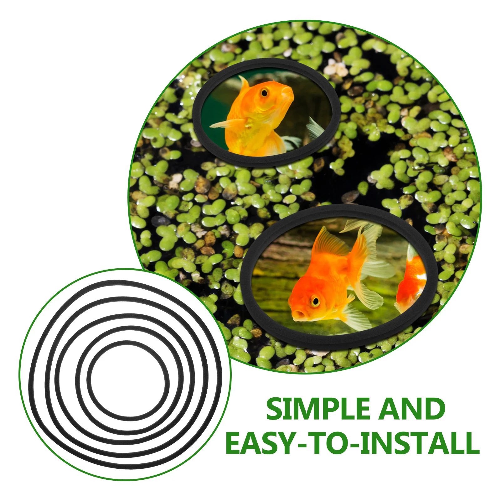 

5Pcs Aquarium Floating Plant Rings Easy Install Durable Eva Material Fish Feeding Isolation Circles Versatile Usage
