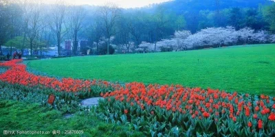 

FOR MN 1/12 MN82T LC79 MN82 MN168 MN82Pro MN78 MN99S RC Car Front Pull Rod Seat Spare Parts​