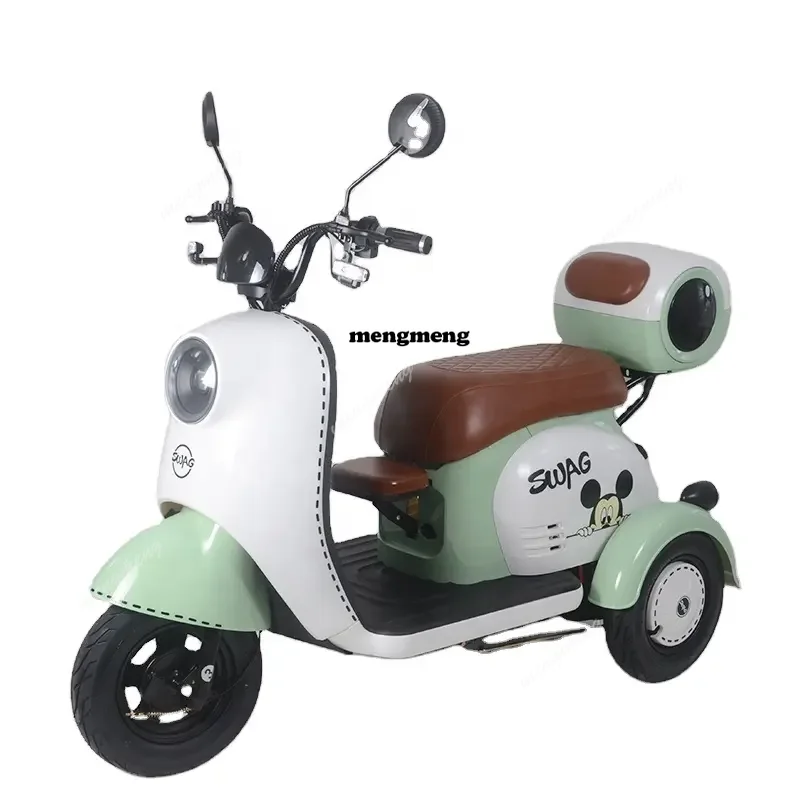 

Hot-selling Electric Tricycle for Household Small Elderly Commuting Electric Vehicle Elderly Leisure Electric