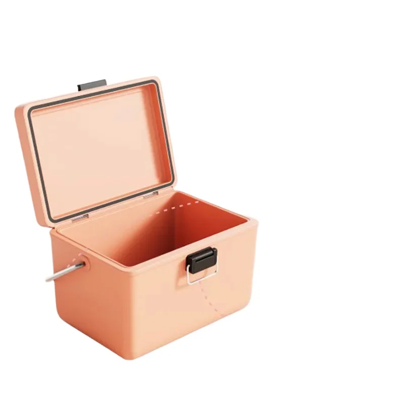 

12L custom plastic outdoor camping small portable multi-functional fresh-keeping thermal insulation refrigerator