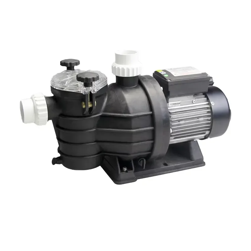 DC Solar-Powered Variable-Frequency Stainless Steel Pressure Pump for Swimming Pools with Boost Function Mill Price