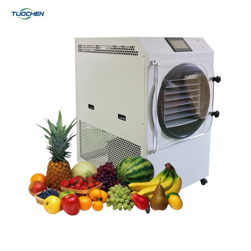 Home Freeze Dryer Machine AutomaticControl High Efficiency Continuous Drying 20kg Capacity Fruit Processing Plant