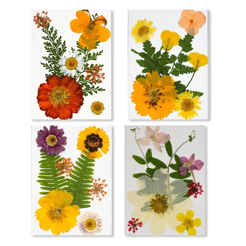 

Dried Flower Assortment 4 Pack Uncolored Florals for Creative DIY Gift Making 15UB