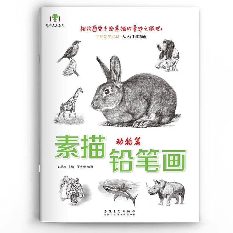 كتب رسم بالقلم الرصاص المرسومة يدويًا للطلاب - المبتدئين إلى دليل الدراسة الذاتية المخصصة في الرسم