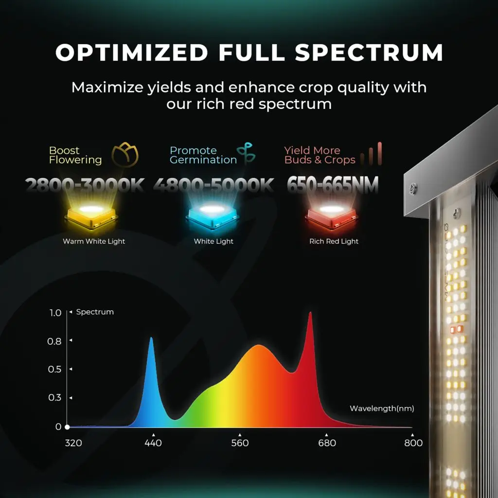 Samsung LM301H EVO-Grain Hydro 2x4 Vertical Ferme Hydroponique, Lampe de Croissance Led pour Serre, 320W, FC4000, Nouveauté