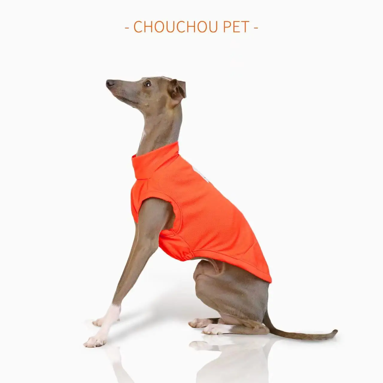 Summer Breathable Dog Vest Outdoor Sun Protection Pet Clothes Cool and Comfortable Iggy Whippet Small and Medium Dog Clothes