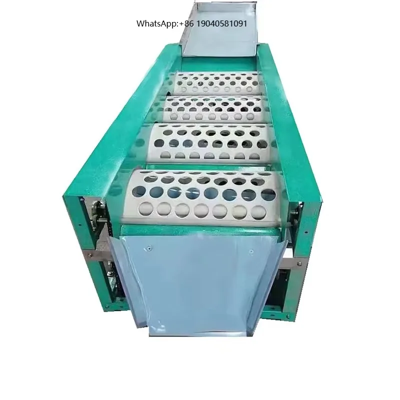 Hot Sale Garlic/orange/jujube/Hawthorn Berry and Cherry  Sorting Machine
