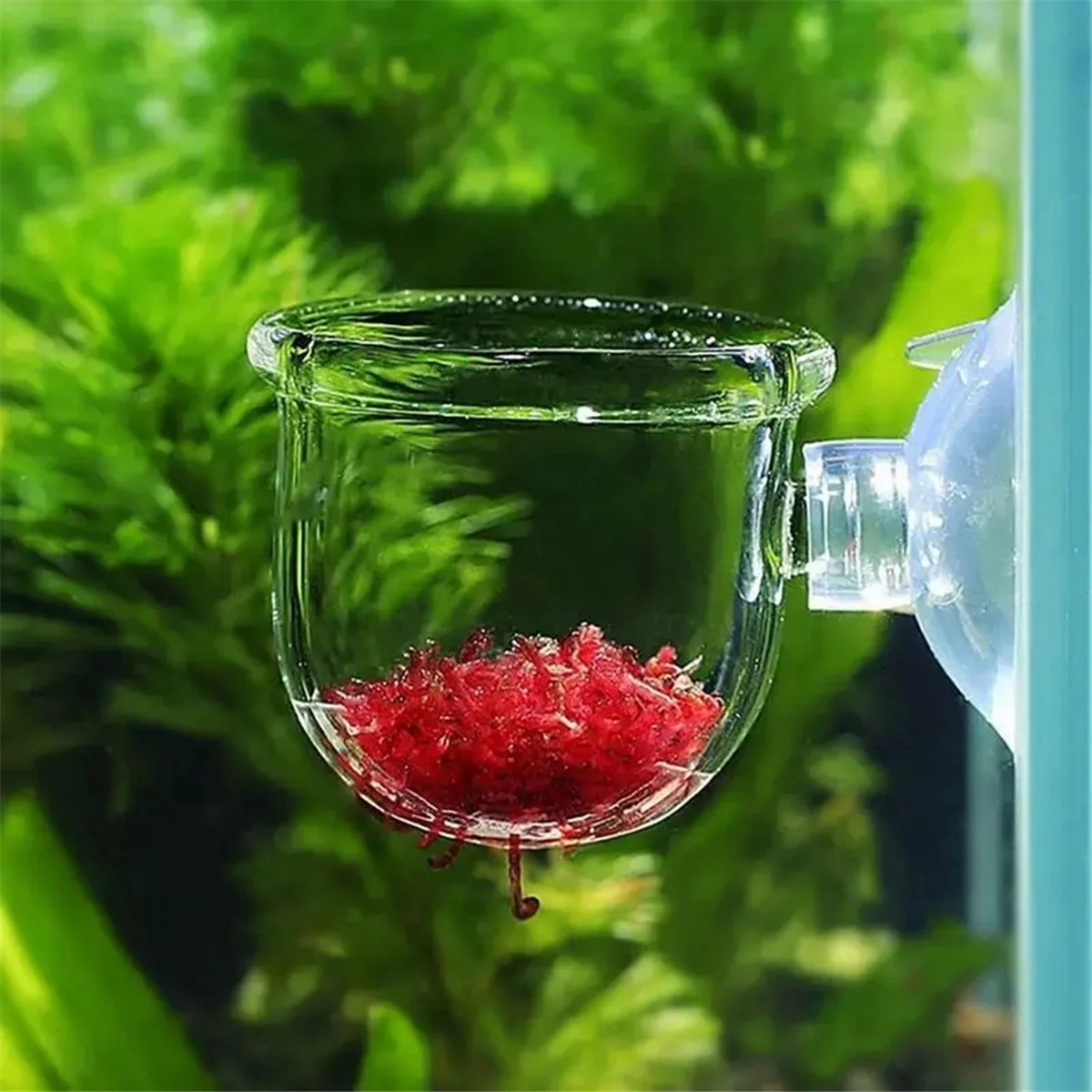 L68A16PCS Aquatic Plant Cups, Transparent Acrylic Aquatic Plant Pot with Suction, Aquarium Decoration 2 Shapes