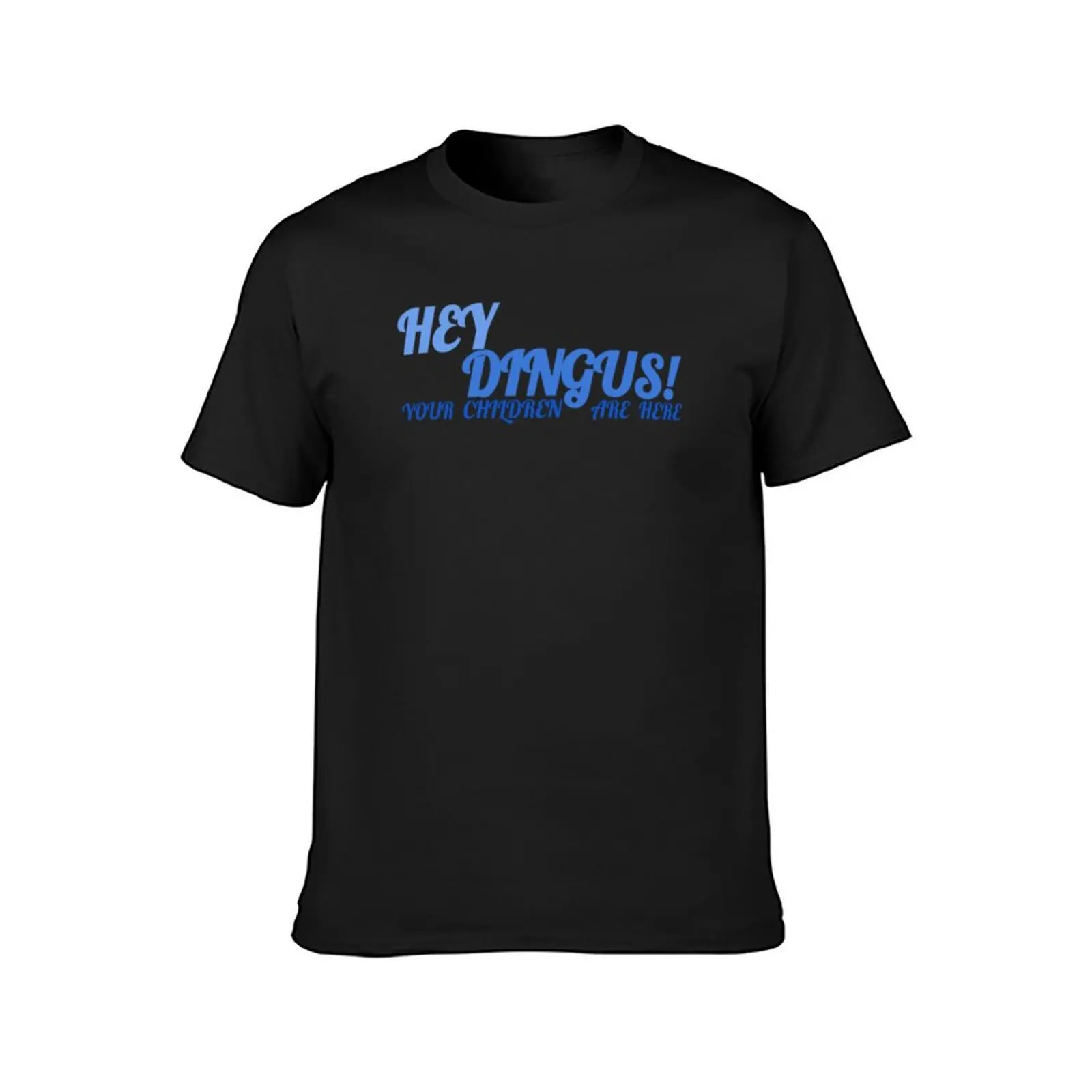 Hey Dingus! T-Shirt blacks kawaii clothes t shirts men