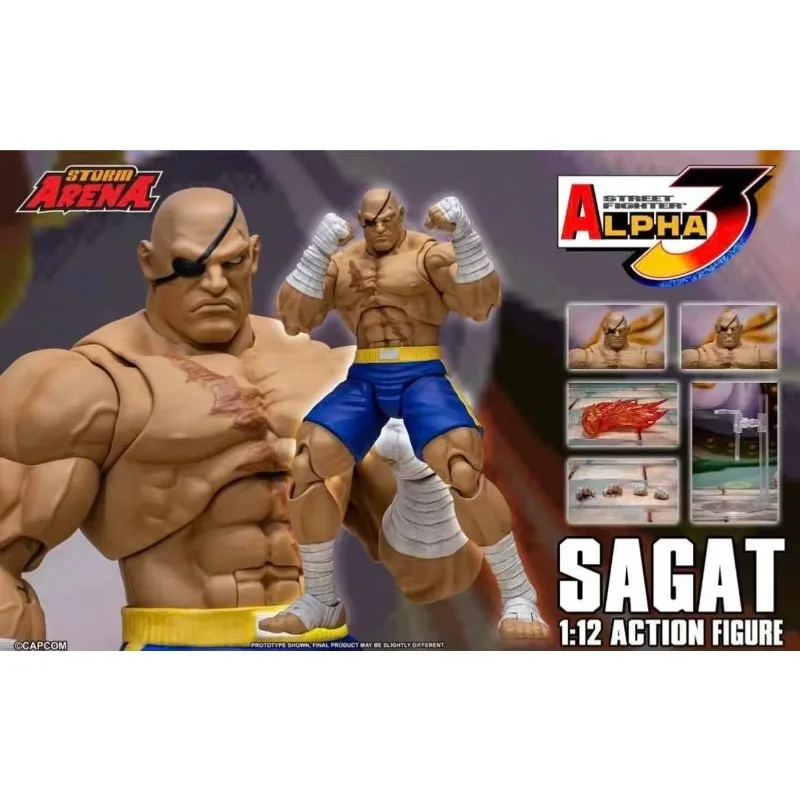 

In Stock Collect Storm Toys ST ARENA3 1/12 Storm Arena Sagat Anime Collection Figures Model Desktop Decoration Collection
